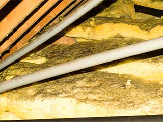 Insulation Removal | Attic Cleaning San Jose, CA Insulation Removal | Attic Cleaning San Jose, CA